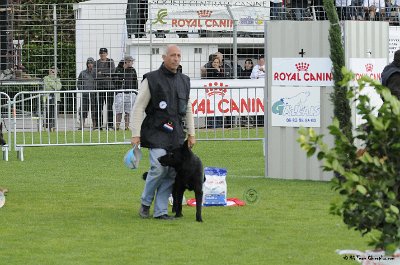 Remise des Prix 155.JPG - CHIENPLUS.COM